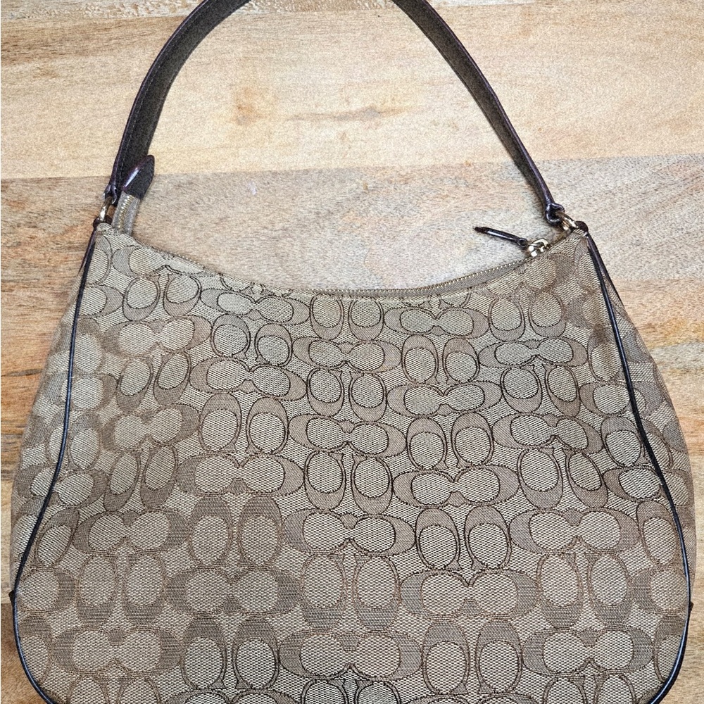 Coach Brown Hobo Bag with Signature Design